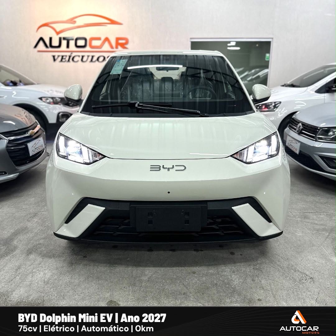 BYD Dolphin Mini GL 